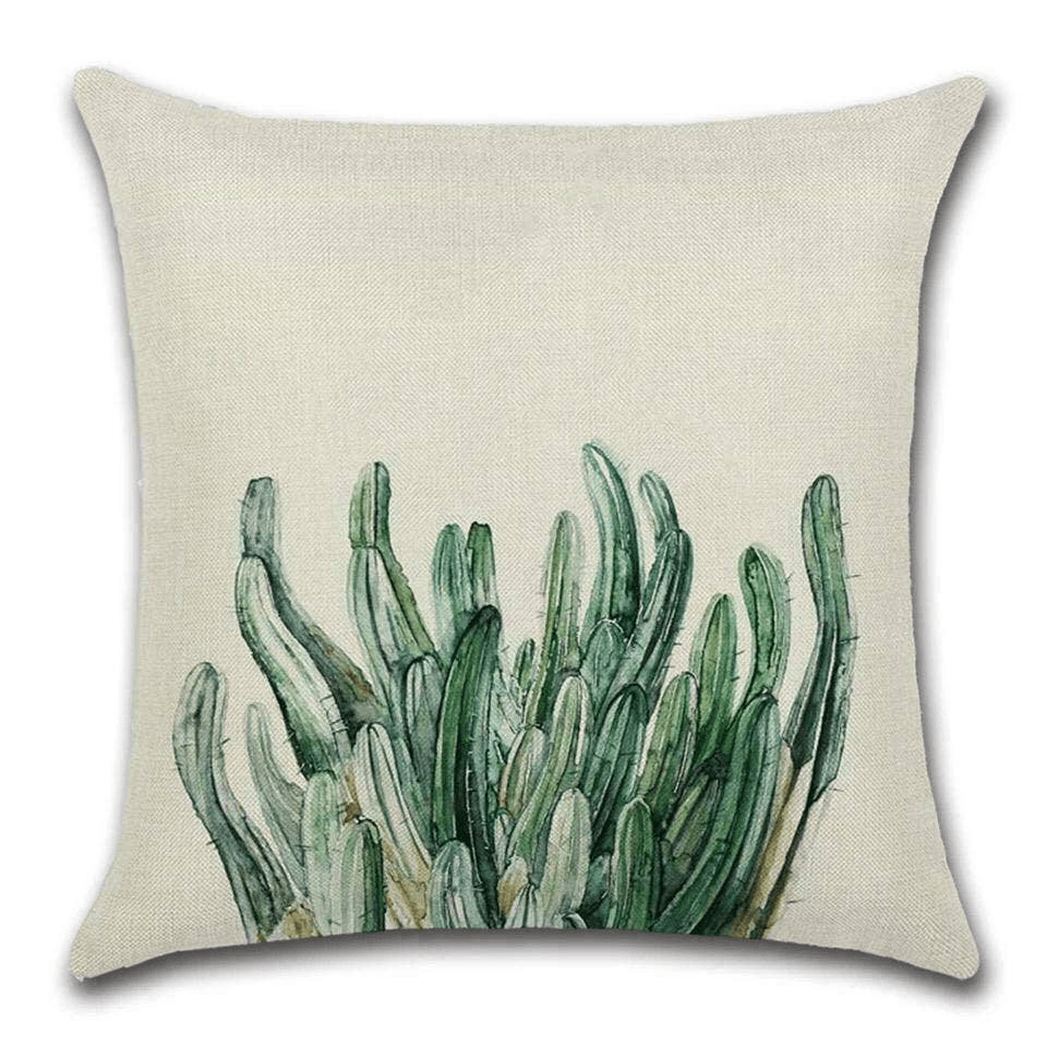 Cushion Cover Plant - Cactus  