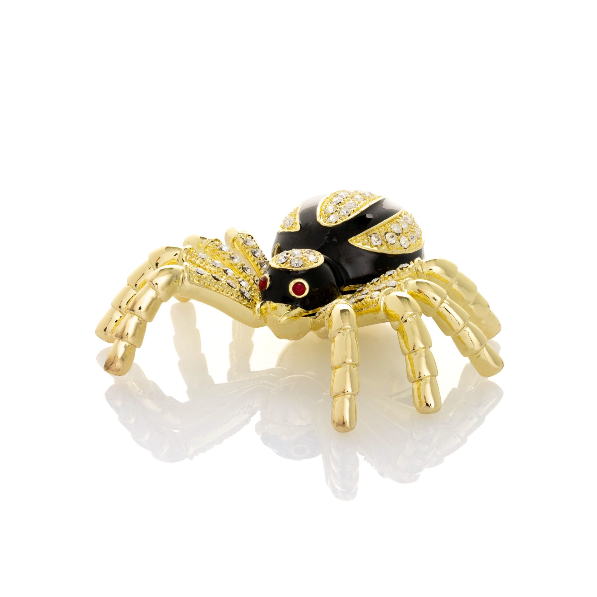 Gold & Black Tarantula Spider  