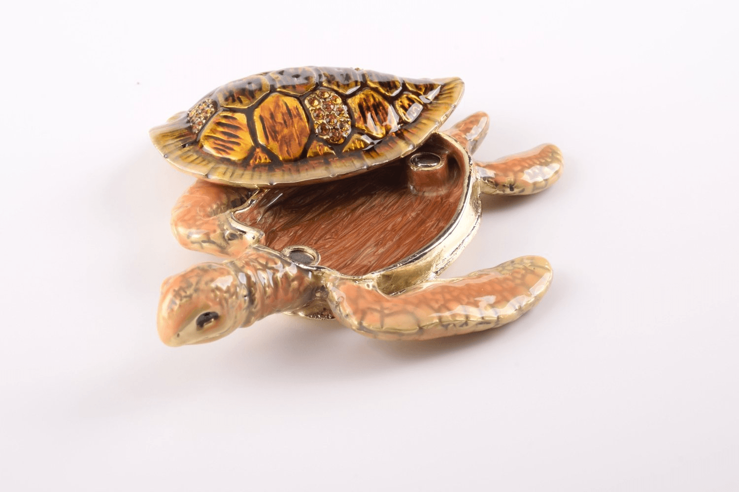 Brown Sea Turtle  