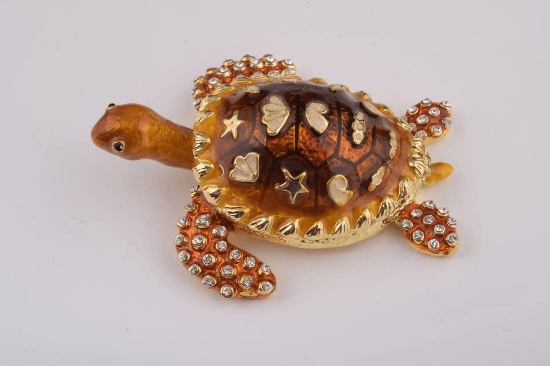 Brown Sea Turtle  