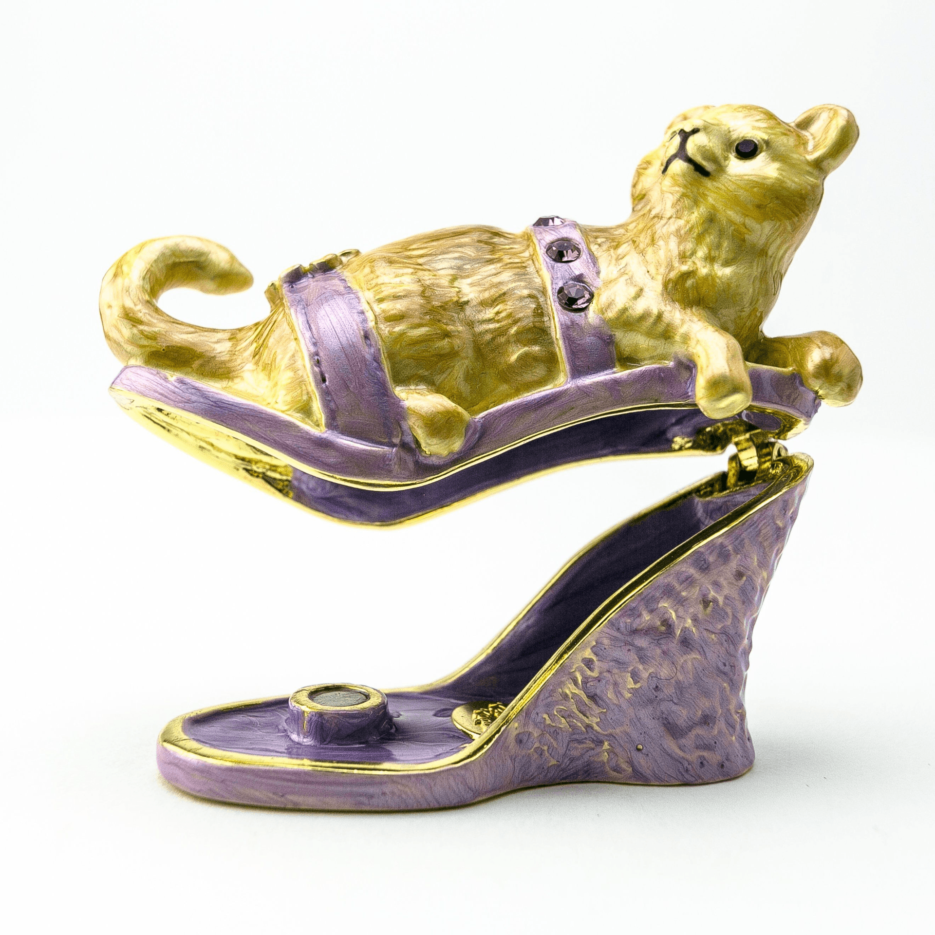 Cat sitting on an Evening Shoe  