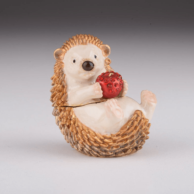 Cute Hedgehog  