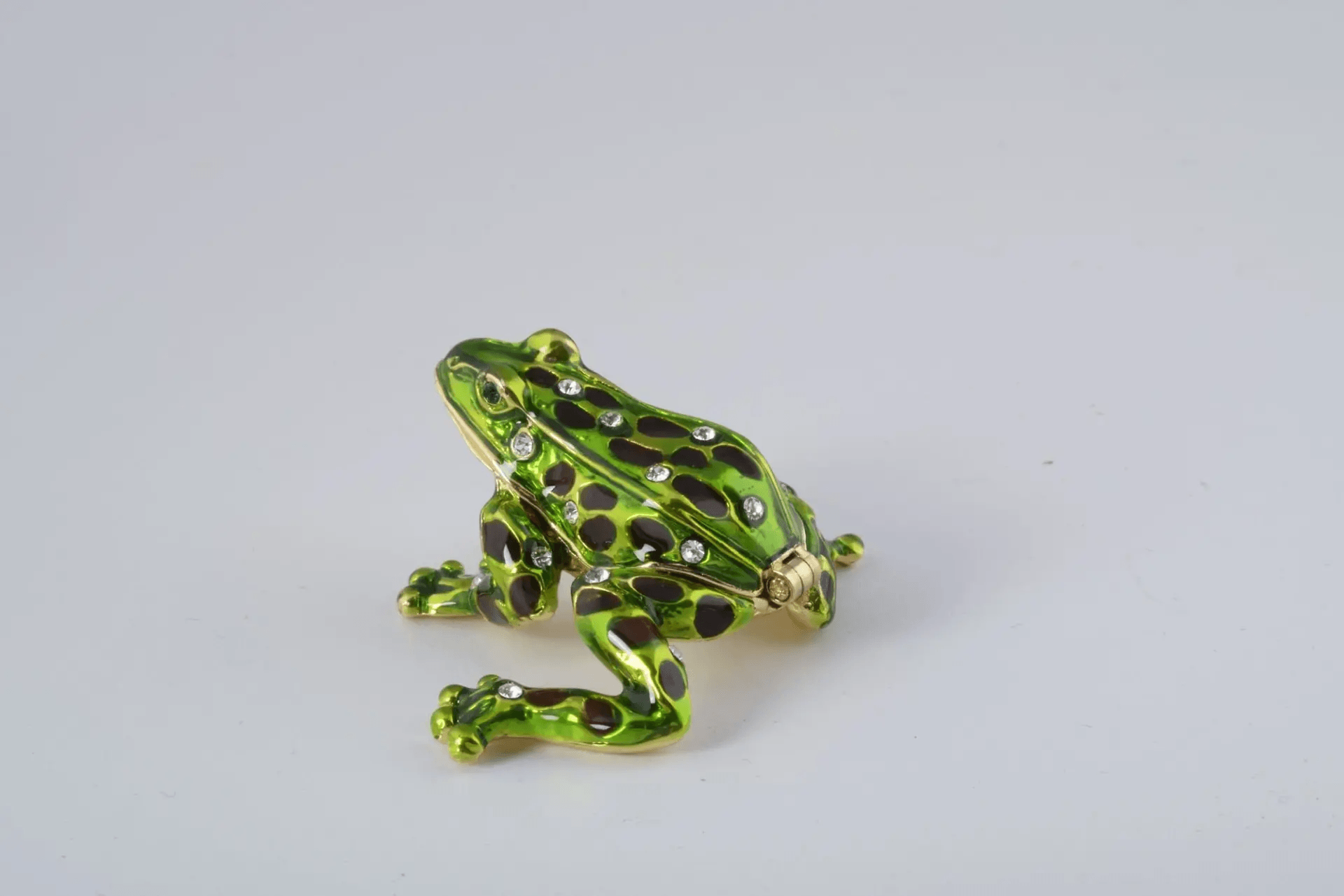 Green Black Spotted Frog  