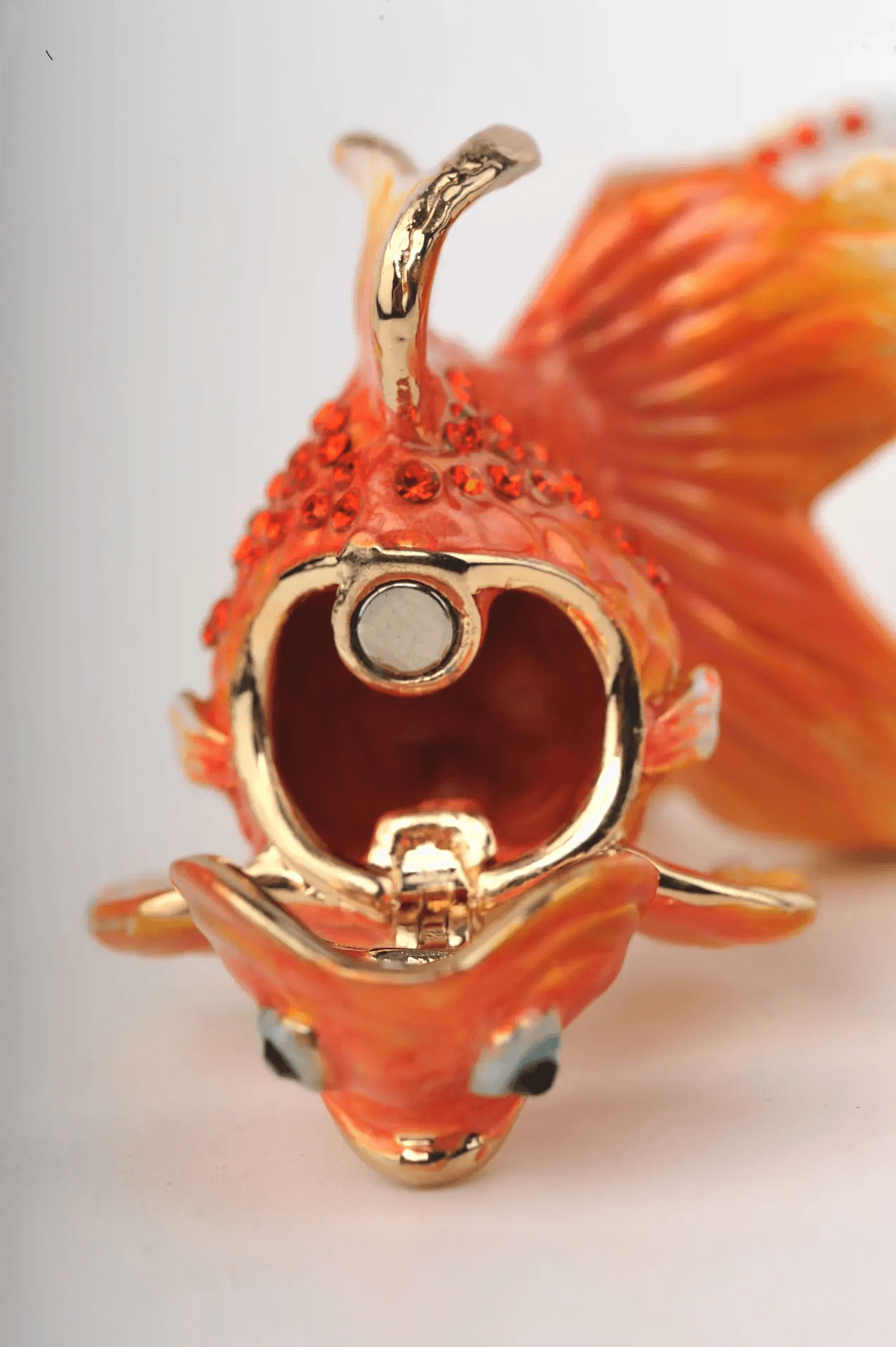 Orange Gold Fish  
