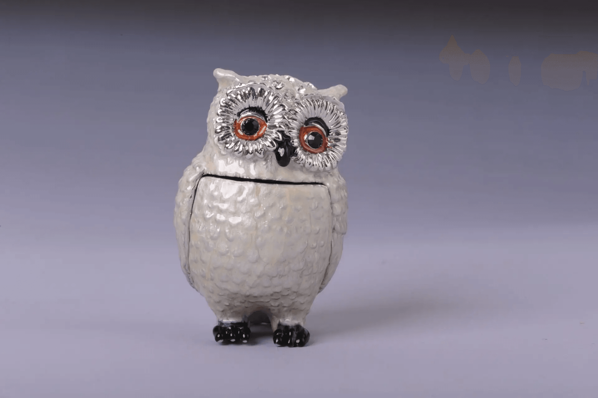 Silver and White Owl  