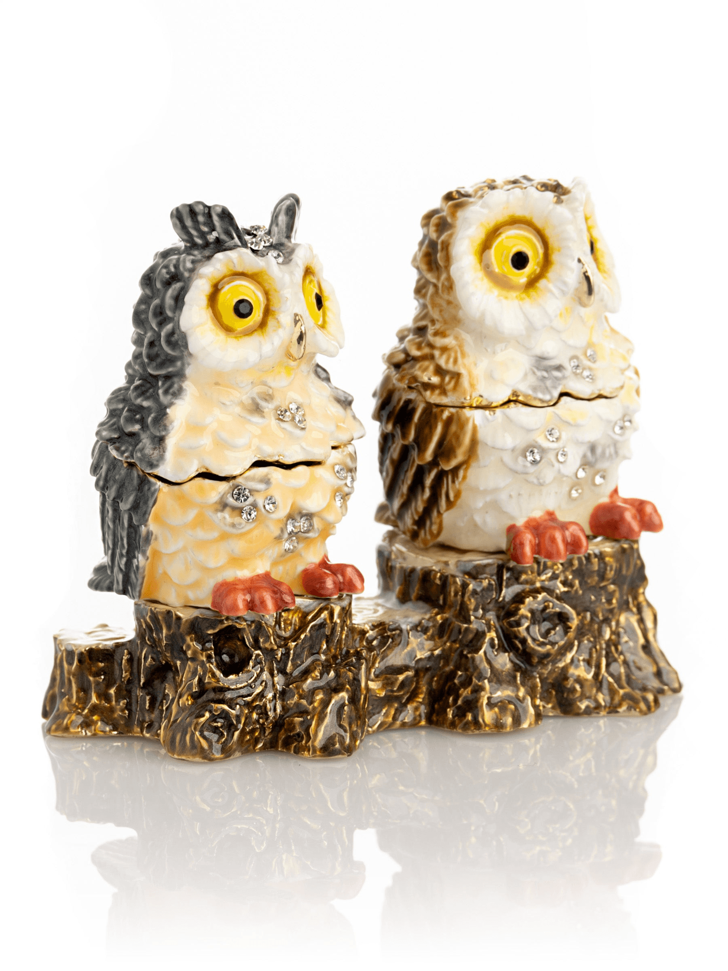 Two Owls Sitting on Tree Trunk  